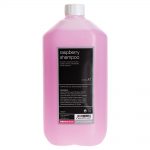 salon services shampoo raspberry 5l