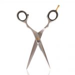 salon services s1 scissors 6 inch