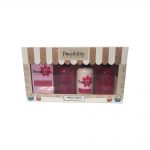 possibility raspberry pavlova gift set – large