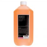 salon services shampoo tangerine 5l