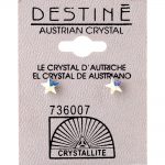 crystallite star aurora borealis earrings 6mm